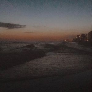 Meet your Posher, Lucy